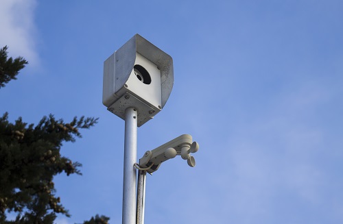 inquadratura dal basso di una telecamera di strada circondata da alberi sotto la luce del sole e un cielo blu