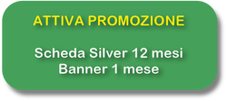 Pulsante promozione aziende scheda silver banner